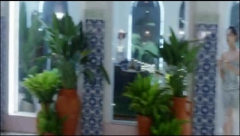 Love in Panacea (Hindi) - Season 01 Episode 06